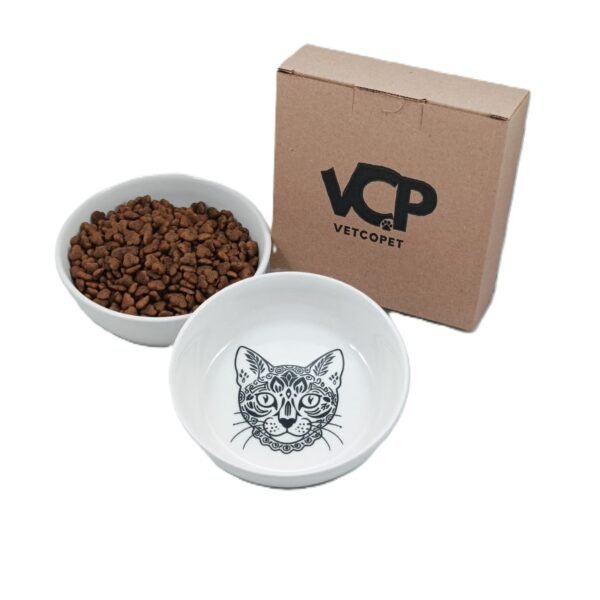 Raccoon Eco008 CatRa 250 Ml Kedi Seramik Mama ve Su Kabı